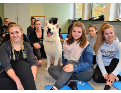 Schulhund im Klassenraum